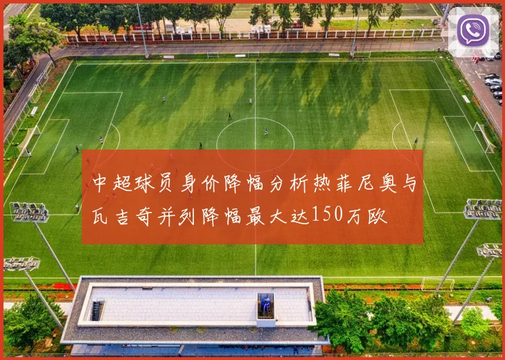 中超球员身价降幅分析热菲尼奥与瓦吉奇并列降幅最大达150万欧